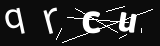 verifycode
